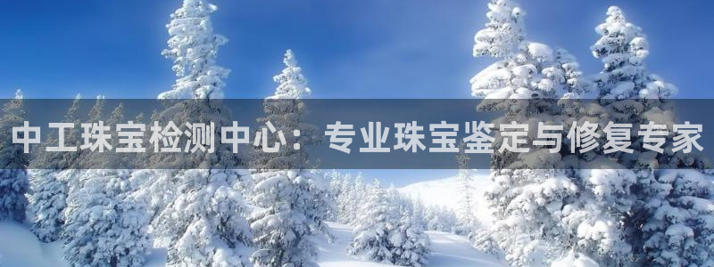 开丰娱乐后7O667：中工珠宝检测中心：专业珠宝鉴定与修复专家