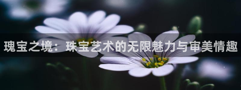 开丰娱乐下7O667：瑰宝之境：珠宝艺术的无限魅力与审美情趣