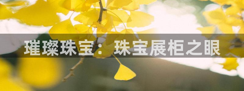 开丰娱乐登录平台：璀璨珠宝：珠宝展柜之眼