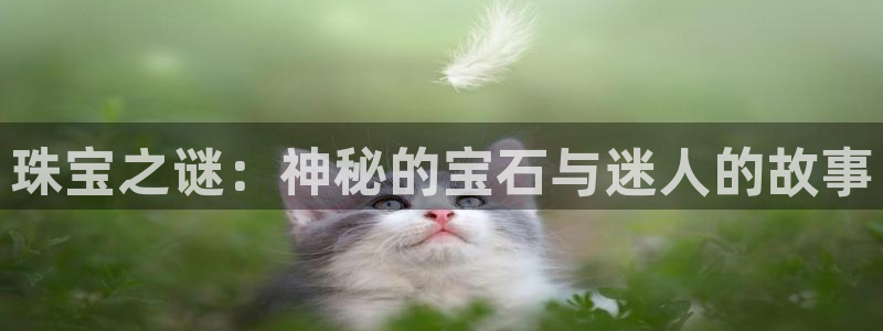 开丰娱乐千67五壹叁八：珠宝之谜：神秘的宝石与迷人的故事