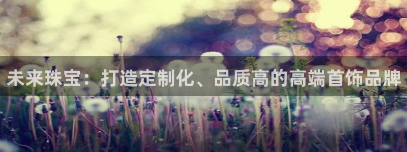开丰娱乐主管：未来珠宝：打造定制化、品质高的高端首饰品牌