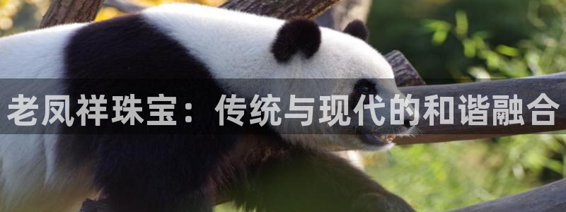 开丰娱乐官网登录网址：老凤祥珠宝：传统与现代的和谐融合