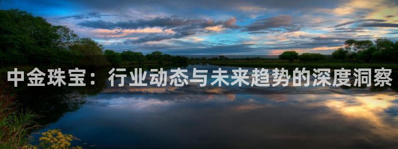 开丰娱乐平台注册：中金珠宝：行业动态与未来趋势的深度洞察