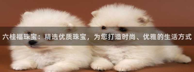 开丰娱乐平台官网网址：六桂福珠宝：精选优质珠宝，为您打造时尚、优雅的生活方式