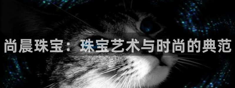 开丰娱乐官网登录平台：尚晨珠宝：珠宝艺术与时尚的典范