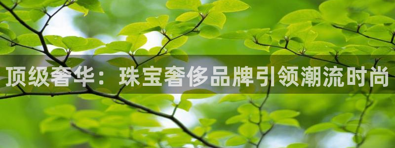 开丰娱乐乙833_43：顶级奢华：珠宝奢侈品牌引领潮流时尚