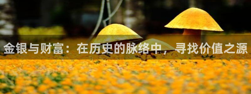 开丰娱乐地址查询：金银与财富：在历史的脉络中，寻找价值之源