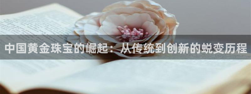 开丰娱乐网址