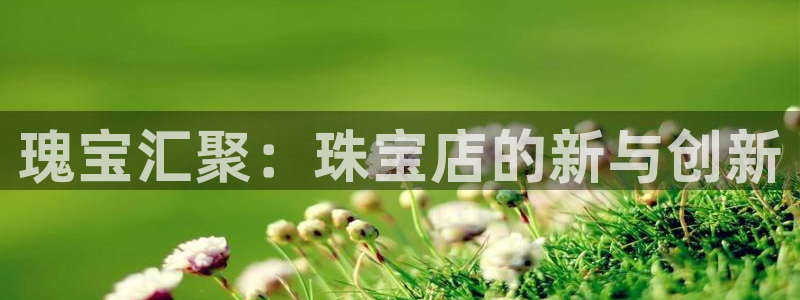 开丰娱乐地址查询：瑰宝汇聚：珠宝店的新与创新