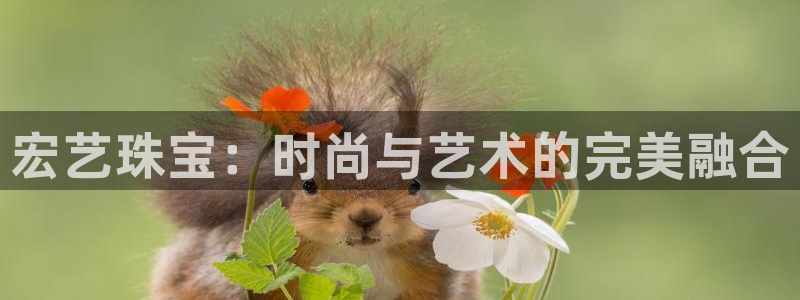 如何注册开丰娱乐账号：宏艺珠宝：时尚与艺术的完美融合