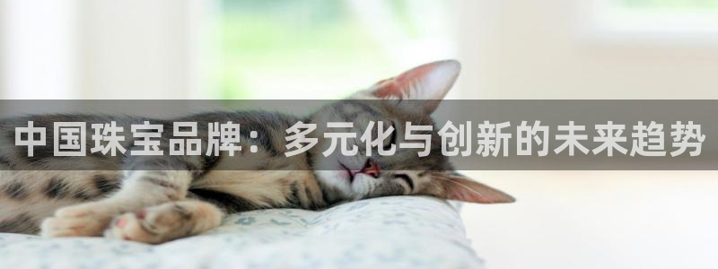 开丰娱乐怎么样：中国珠宝品牌：多元化与创新的未来趋势