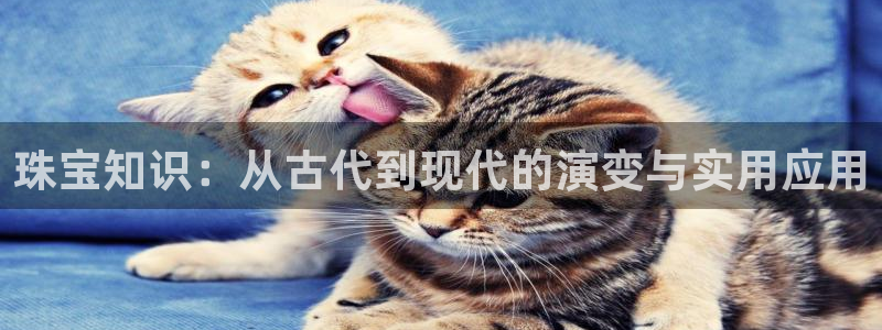 开丰娱乐右7O667：珠宝知识：从古代到现代的演变与实用应用