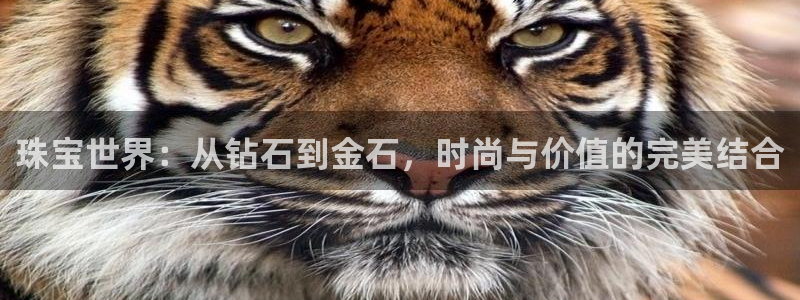 开丰娱乐前：珠宝世界：从钻石到金石，时尚与价值的完美结合