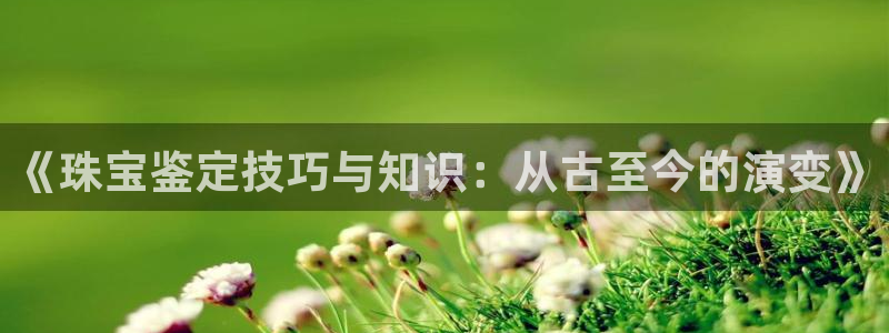 开丰娱乐登录地址入口：《珠宝鉴定技巧与知识：从古至今的演变》