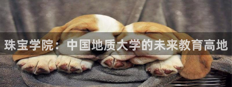 开丰娱乐登入地址在哪里：珠宝学院：中国地质大学的未来教育高地