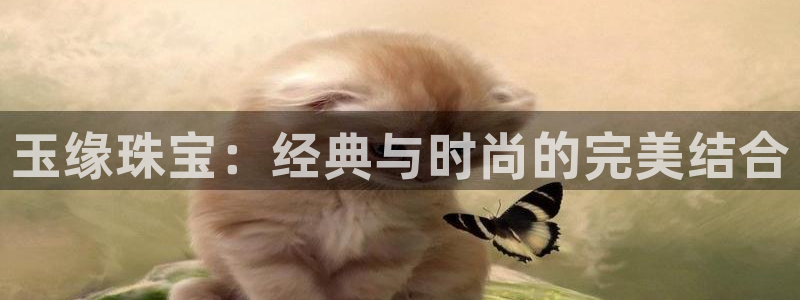 开丰娱乐下7O667：玉缘珠宝：经典与时尚的完美结合