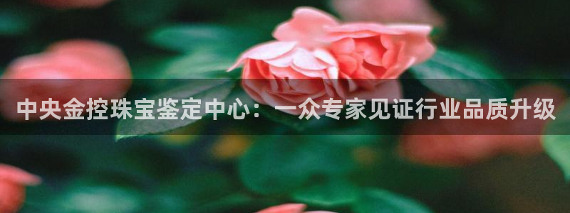 开丰娱乐注册登录：中央金控珠宝鉴定中心：一众专家见证行业品质升级