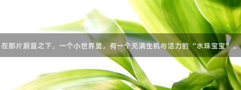 开丰娱乐平台提现失败：在那片蔚蓝之下，一个小世界里，有一个充满生机与活力的“水珠