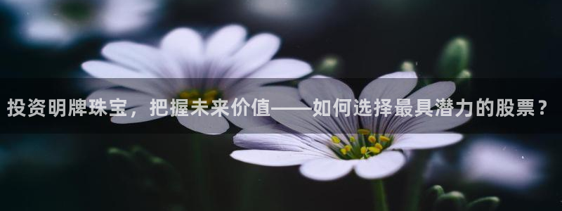 开丰娱乐注册：投资明牌珠宝，把握未来价值——如何选择最具潜力的股票？