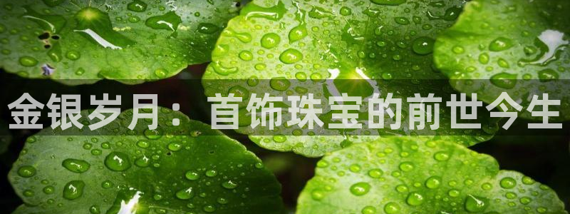 开丰娱乐登录平台下载：金银岁月：首饰珠宝的前世今生