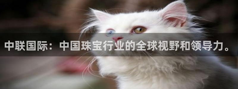 开丰娱乐官网电话：中联国际：中国珠宝行业的全球视野和领导力。