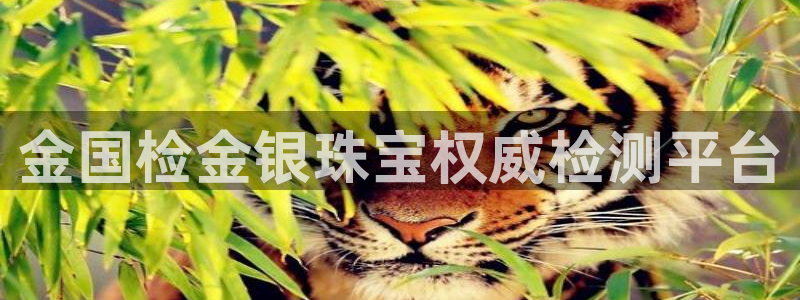 开丰娱乐左：金国检金银珠宝权威检测平台