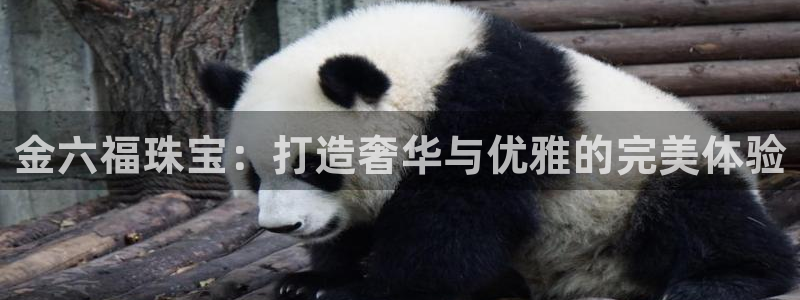 开丰娱乐主管家去判官333OO：金六福珠宝：打造奢华与优雅的完美体验