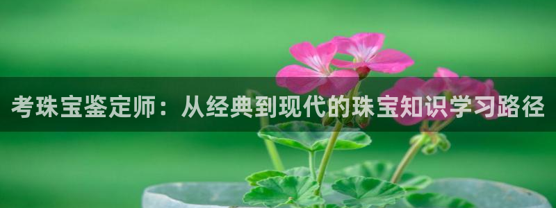 开丰娱乐平台地址查询：考珠宝鉴定师：从经典到现代的珠宝知识学习路径