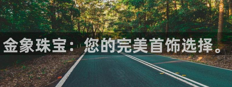 开丰娱乐平台登录：金象珠宝：您的完美首饰选择。