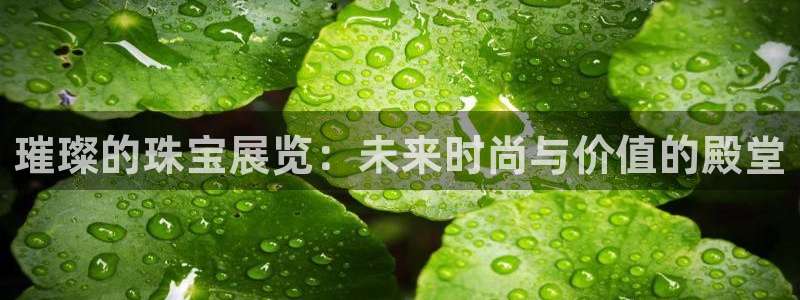 开丰娱乐app：璀璨的珠宝展览：未来时尚与价值的殿堂