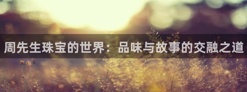 开丰娱乐登入：周先生珠宝的世界：品味与故事的交融之道