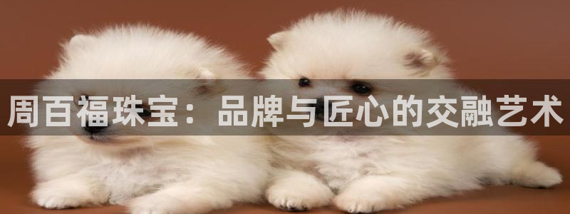 开丰娱乐网站官网下载：周百福珠宝：品牌与匠心的交融艺术