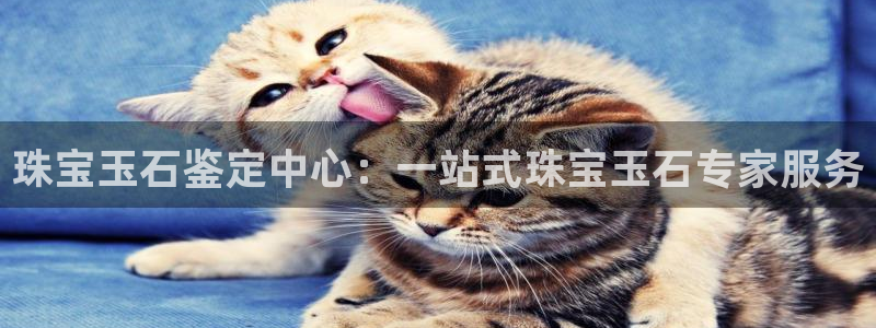 开丰娱乐线路：珠宝玉石鉴定中心：一站式珠宝玉石专家服务