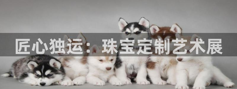 开丰娱乐怎么开转点：匠心独运：珠宝定制艺术展