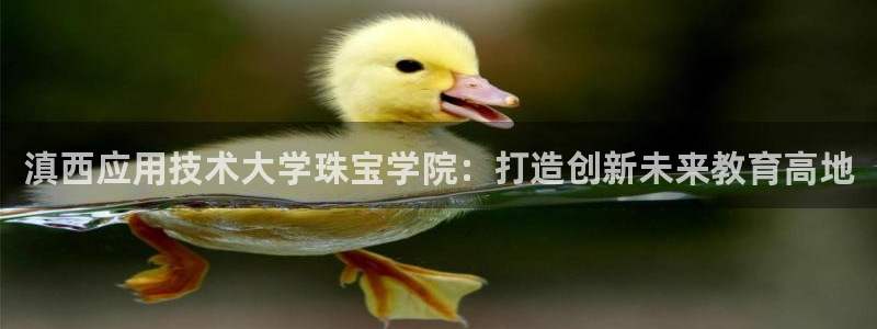 开丰娱乐下：滇西应用技术大学珠宝学院：打造创新未来教育高地