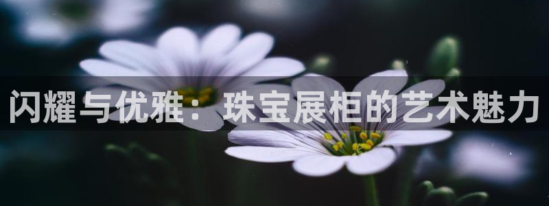 开丰娱乐 赢咖一：闪耀与优雅：珠宝展柜的艺术魅力