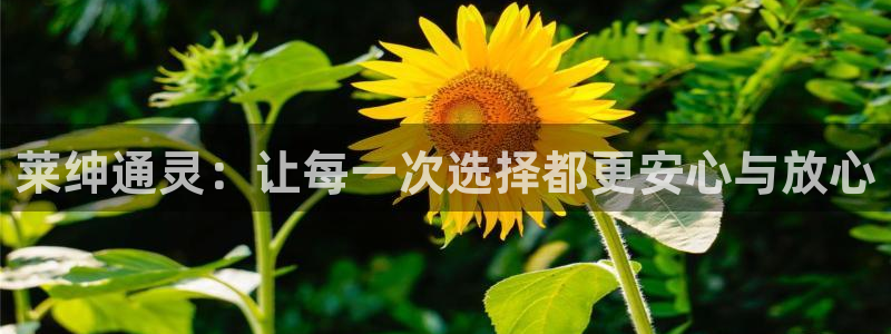 开丰娱乐天富娱乐：莱绅通灵：让每一次选择都更安心与放心