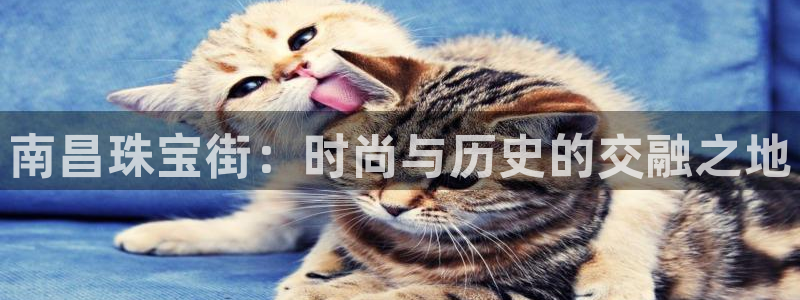 开丰娱乐登入地址查询：南昌珠宝街：时尚与历史的交融之地