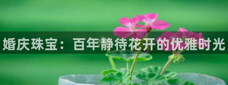 开丰娱乐违法吗：婚庆珠宝：百年静待花开的优雅时光