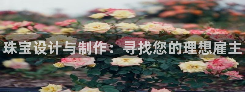 开丰娱乐平台地址查询：珠宝设计与制作：寻找您的理想雇主