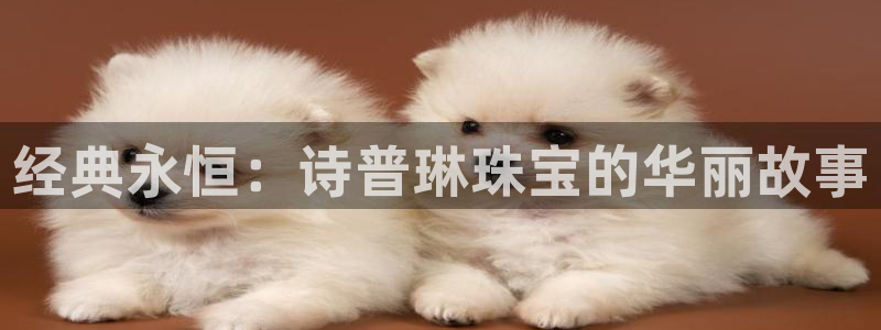 开丰娱乐登入地址查询：经典永恒：诗普琳珠宝的华丽故事