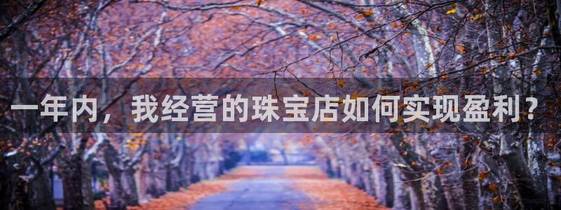 开丰娱乐官方app：一年内，我经营的珠宝店如何实现盈利？