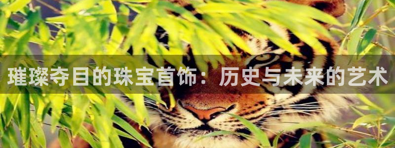 开丰娱乐登入：璀璨夺目的珠宝首饰：历史与未来的艺术