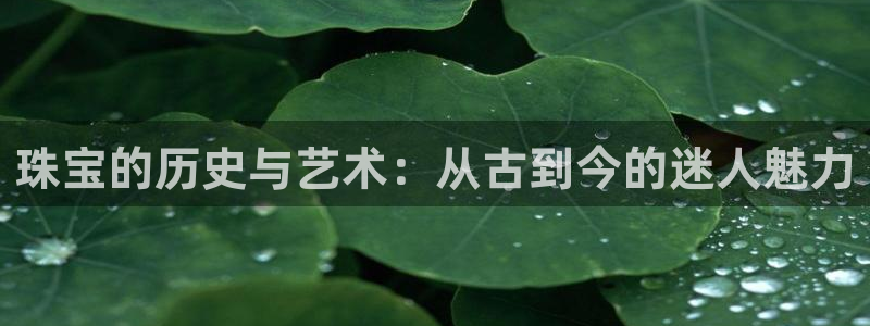 开丰娱乐网官网注册入口：珠宝的历史与艺术：从古到今的迷人魅力