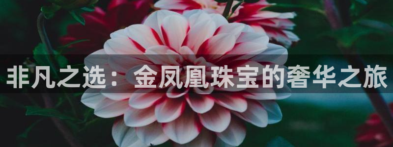 开丰娱乐官网平台电话：非凡之选：金凤凰珠宝的奢华之旅