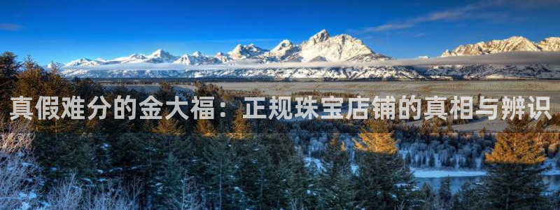 开丰娱乐67 5138：真假难分的金大福：正规珠宝店铺的真相与辨识