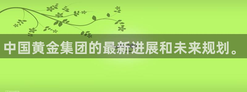 开丰娱乐登入地址在哪：中国黄金集团的最新进展和未来规划。