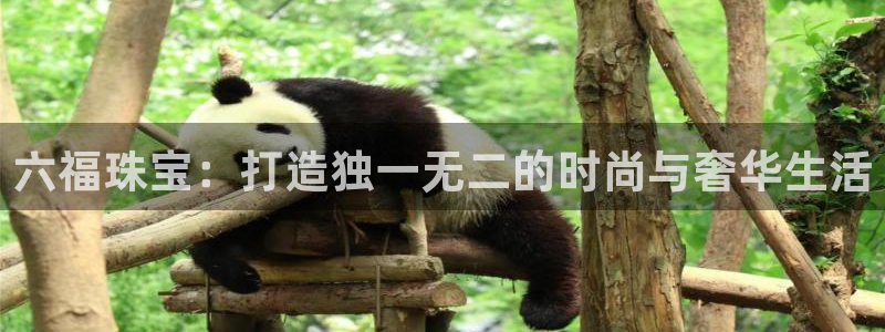 开丰娱乐怎么开转点：六福珠宝：打造独一无二的时尚与奢华生活