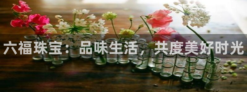 开丰娱乐网站：六福珠宝：品味生活，共度美好时光