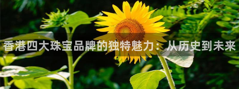 开丰娱乐：香港四大珠宝品牌的独特魅力：从历史到未来